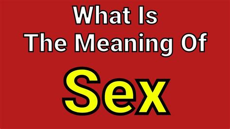 sex sex english english